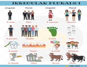 Irregular-Plurals.png